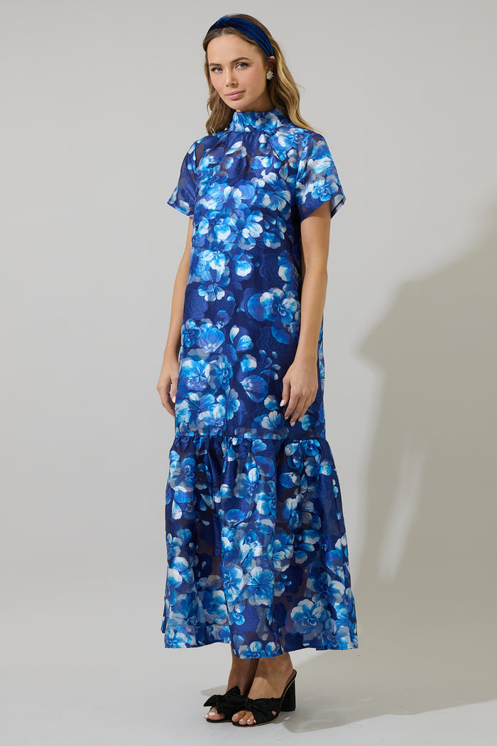 Abay Floral Dime Organza Maxi Dress