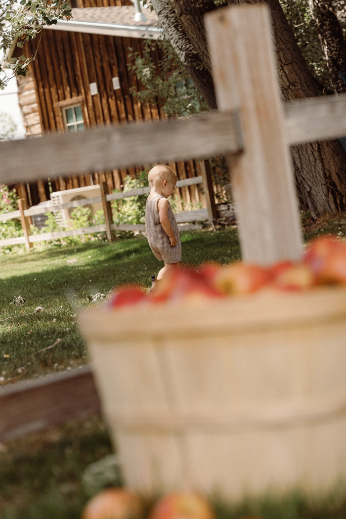 A toddler wearing the Ivy City Co Baby Boy Thomas Romper in Brown Gingham walks on grass near a wooden fence, with a basket of apples in the foreground and a rustic wooden house in the background.