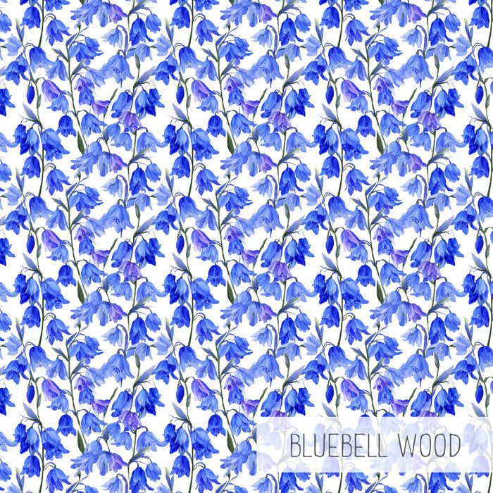 Capri | Bluebell Wood