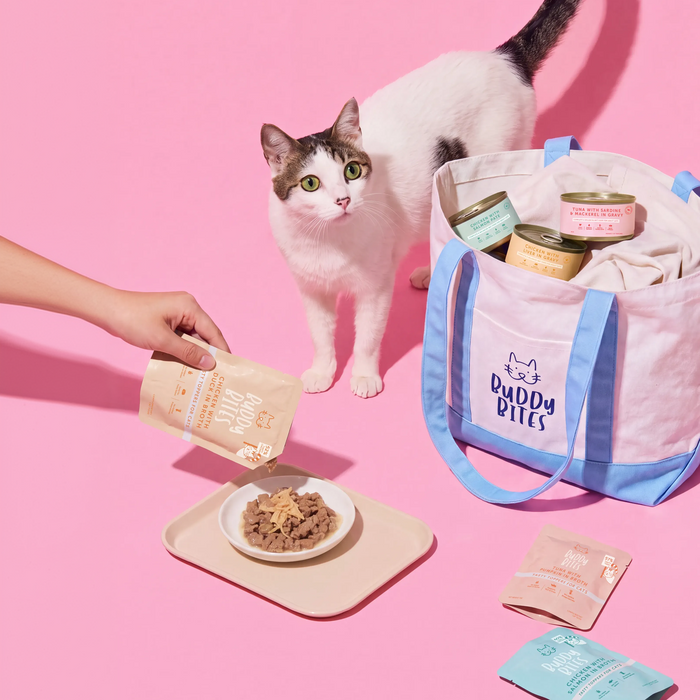 Cat Wet Food Taster Box