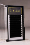 CC Volume Lashes