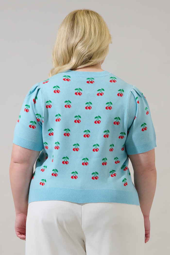 Cherryville Short Sleeve Sweater Top Curve