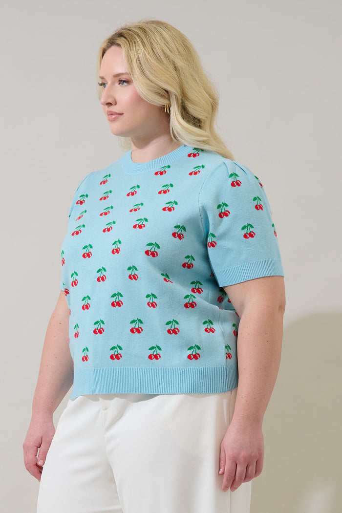 Cherryville Short Sleeve Sweater Top Curve