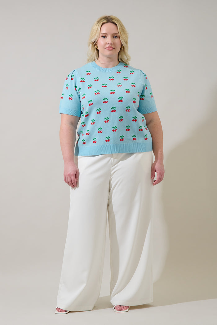 Cherryville Short Sleeve Sweater Top Curve