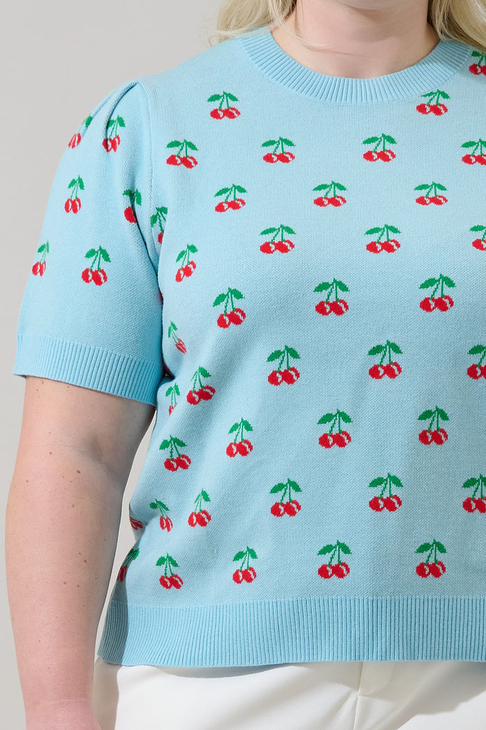 Cherryville Short Sleeve Sweater Top Curve