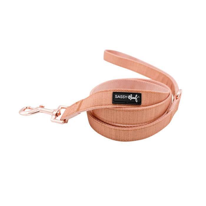 The Sassy Woof Dog Leash - Apple Cider features a peach hue, rose gold hardware, a metal clip, and a black Sassy Woof label. Shown rolled up on a white background, it pairs perfectly with the matching adjustable harness.