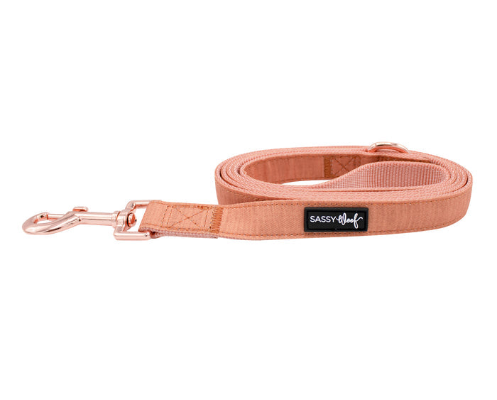 The Dog Leash - Apple Cider by Sassy Woof features a peach hue, rose gold hardware, and a black Sassy Woof label. Shown rolled up on a white background. Pairs perfectly with the matching adjustable harness.