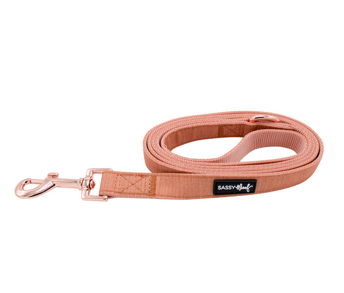 A close-up of the Sassy Woof Dog Leash - Apple Cider, showcasing its elegant rose gold hardware.