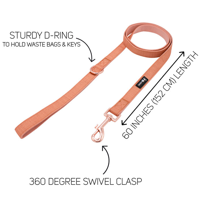 The Sassy Woof Dog Leash - Apple Cider features a tan color, rose gold hardware, sturdy D-ring, 360° swivel clasp, and measures 60" (152 cm). Pair with the matching adjustable harness for a stylish walk. Text labels highlight its key features.