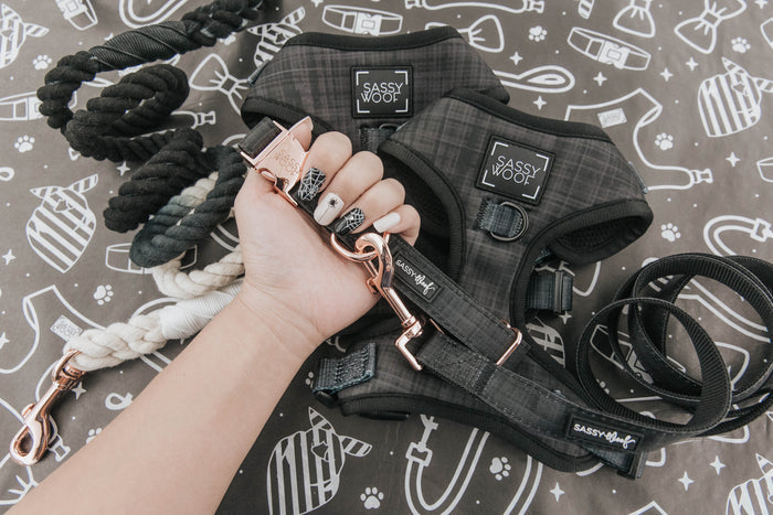 A hand holds Sassy Woof's Dog Leash - Baby Got Black and an adjustable rose gold harness, with a matching black collar and beige rope leashes nearby, all displayed on a gray, dog-themed patterned background.