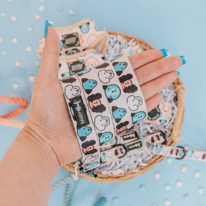 A hand with blue-manicured nails holds a cute gray Sassy Woof dog collar with cartoon faces. Nearby, a basket sits on pastel heart confetti, filled with matching accessories like the Sassy Woof "Dog Leash - Mixed With Love" featuring a neoprene handle.