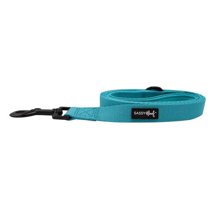 A rolled-up neon blue dog leash by Sassy Woof, featuring a black metal clasp and a black “Sassy Woof” label, is displayed on a white background.
