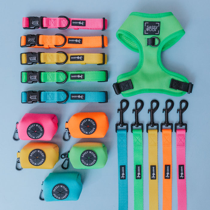 A vibrant set of Sassy Woof dog accessories, featuring six collars, six leashes—including a neon green Dog Leash with a padded handle—four waste bag holders, and a green harness, arranged neatly on a light blue background.