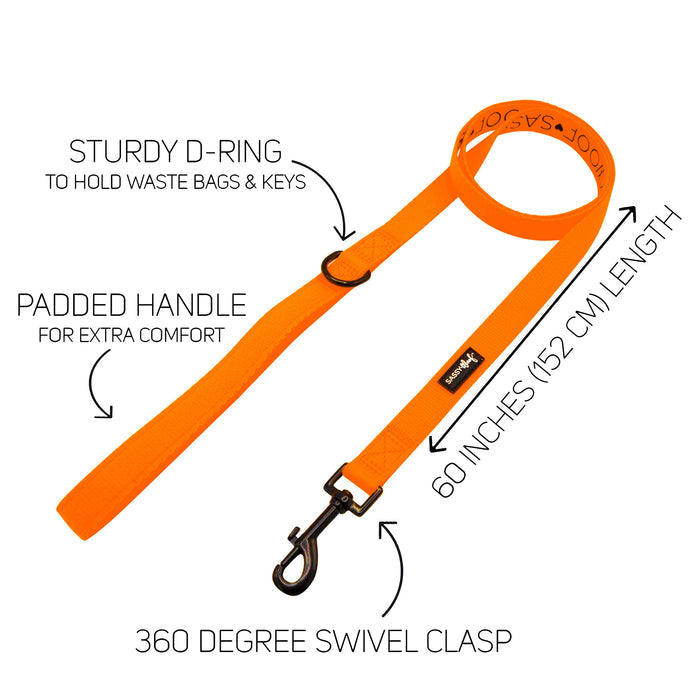 The Sassy Woof Dog Leash - Neon Orange features a sturdy D-ring for waste bags and keys, padded handle, 60-inch (152 cm) length, and 360-degree swivel clasp—a bold choice in colorful dog accessories.