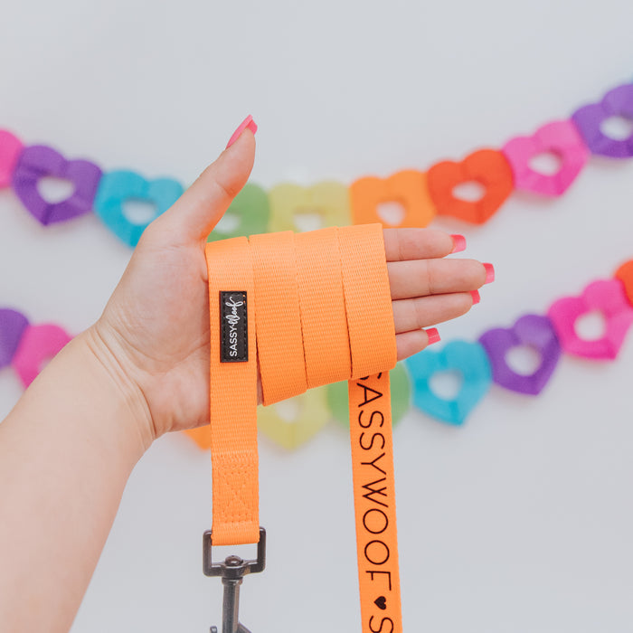 A hand with pink-painted nails holds the Sassy Woof Dog Leash in Neon Orange against a white background, with colorful dog accessories and a heart-shaped paper garland hanging behind.