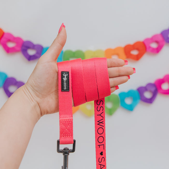 A hand with pink-painted nails holds the Sassy Woof Dog Leash - Neon Pink, while a garland of colorful paper hearts decorates the white wall in the background.