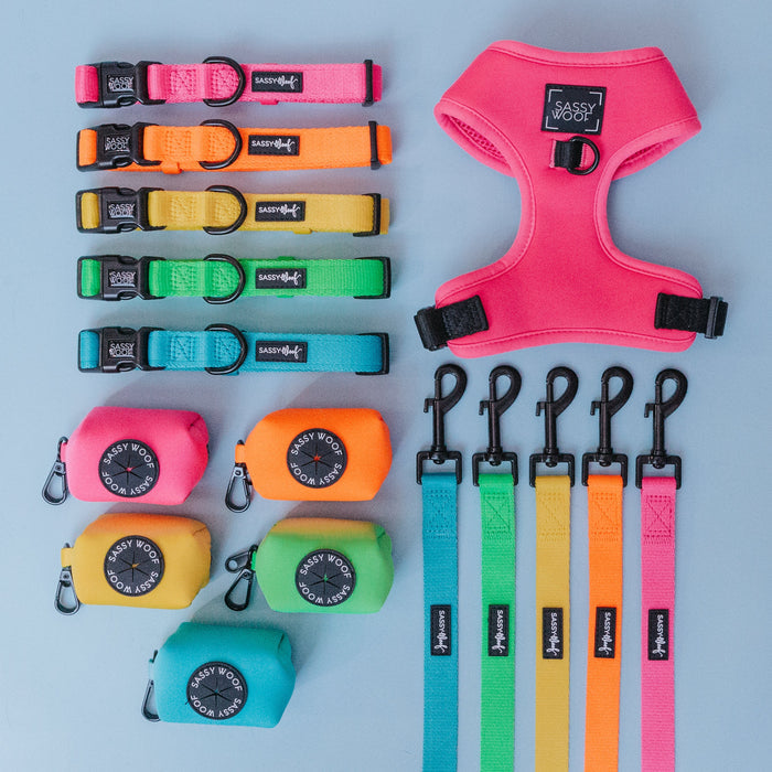 Vibrant Sassy Woof neon dog accessories on a blue background, including a pink adjustable harness and five matching sets of collars, neon pink Dog Leash - Neon Pink, neoprene leashes, and poop bag holders.
