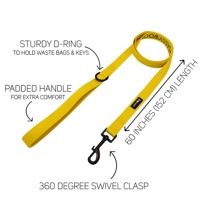 The Sassy Woof Dog Leash - Neon Yellow features a bright yellow design, padded handle for comfort, and clear instructions—perfect for stylish walks with your dog.