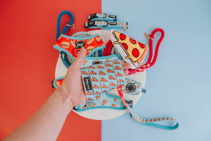 A hand holds up the Sassy Woof Dog Leash - One Hot Pupperoni with a neoprene handle, surrounded by matching pizza-patterned harnesses, collars, and a toy slice, all displayed on blue and red backgrounds.