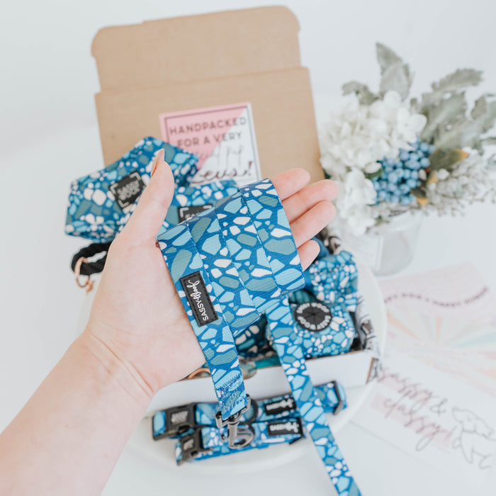 A hand holds the Sassy Woof Dog Leash - Santorini, featuring a soft neoprene handle, in front of a box with matching harnesses, flowers, and cards displayed on a white table in the background.