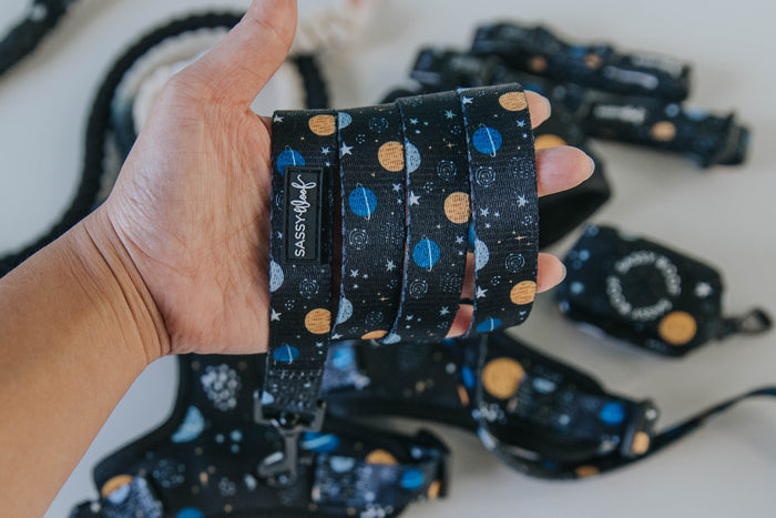 A hand holds the Sassy Woof "Dog Leash - To the Stars and Beyond," featuring a vibrant outer space pattern. Matching pet accessories are seen in the background, ideal for girls in STEM who love a cosmic touch.
