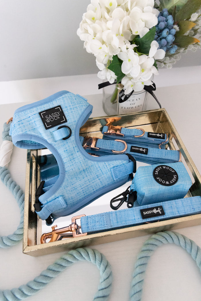 A gold tray displays a light blue Sassy Woof dog set—harness, leash, collar, and the Blumond Waste Bag Holder. In the background, a vase holds white flowers with greenery.