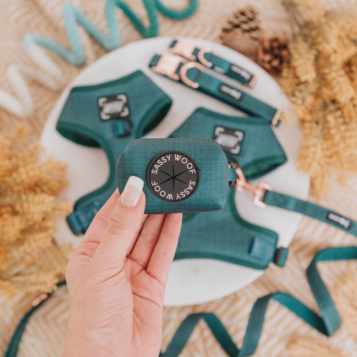 A hand with manicured nails holds the Sassy Woof Dog Waste Bag Holder - Forest, while a matching green Forest Collection harness, leash, and collar with rose gold hardware are displayed on a white surface with dried plants in the background.