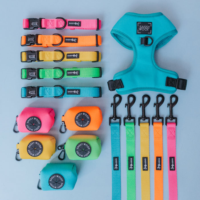 A flat lay of Sassy Woof dog accessories, including a matching harness, leashes, neon items, and the Dog Waste Bag Holder - Neon Blue—all neatly arranged on a light blue background.