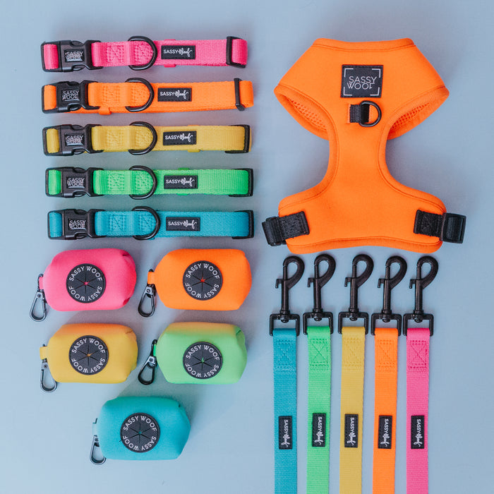 A Sassy Woof set featuring six neon dog collars, a matching harness, six leashes, and six Neon Orange Dog Waste Bag Holders by Sassy Woof, all displayed on a light blue background.