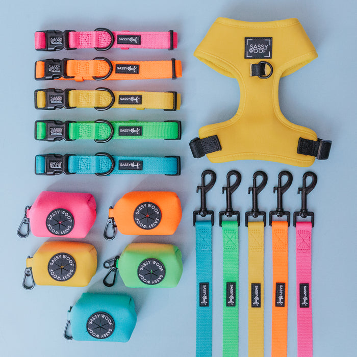 A Sassy Woof neon yellow collection featuring a Dog Waste Bag Holder, four collars, four leashes, and a matching harness, all arranged neatly on a light blue background.