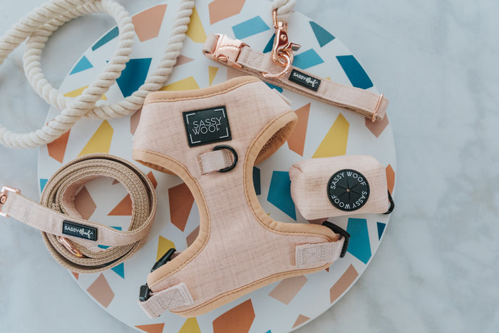 A blush pink adjustable harness, matching leash, beige Sassy Woof collar, and the Sassy Woof Dog Waste Bag Holder - Pinot are arranged on a colorful geometric-patterned round tray.