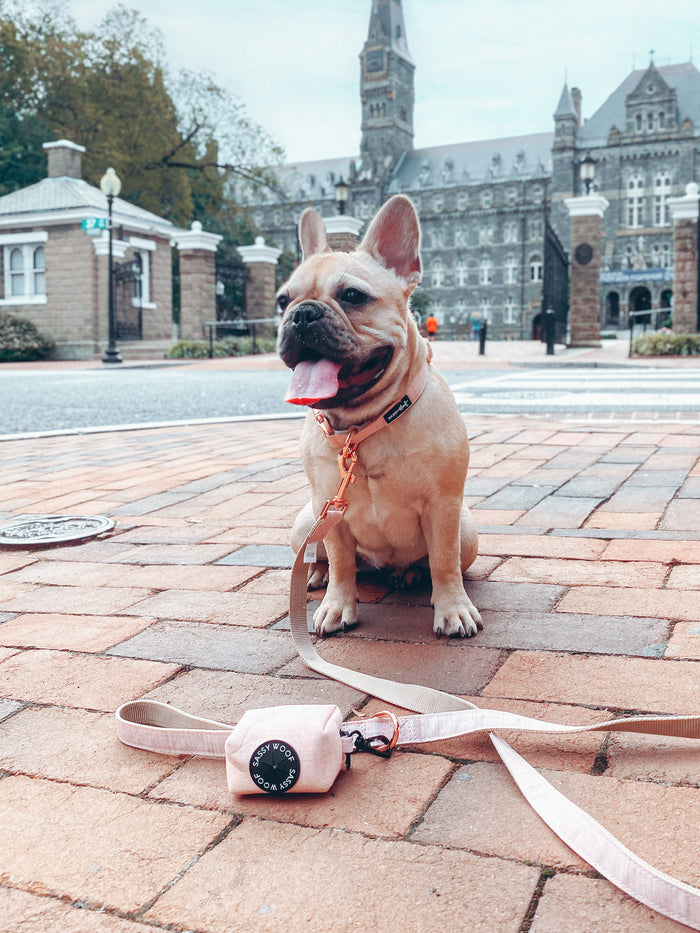 A French bulldog with its leash and a pink accessory sits on a brick sidewalk, tongue out, in front of a historic stone building and trees, next to the Sassy Woof Dog Waste Bag Holder - Pinot.