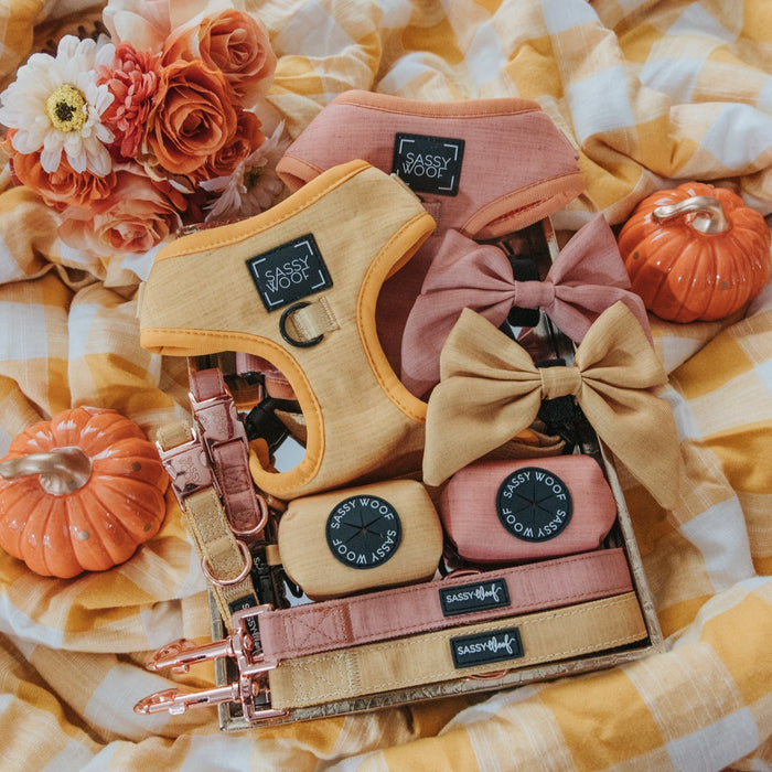Dog harnesses, leashes, bow ties, and the Sassy Woof Dog Waste Bag Holder – Sunflower Fields in peach and yellow are arranged on a yellow plaid blanket with faux flowers and pumpkins for an autumn-themed dog accessory display.