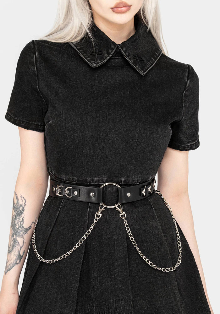 DRACONID BELT
