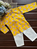 Elephant Parade Kurta Set