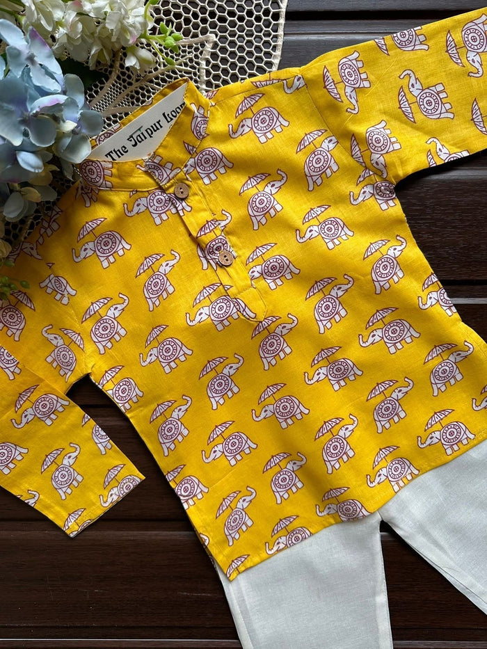 Elephant Parade Kurta Set