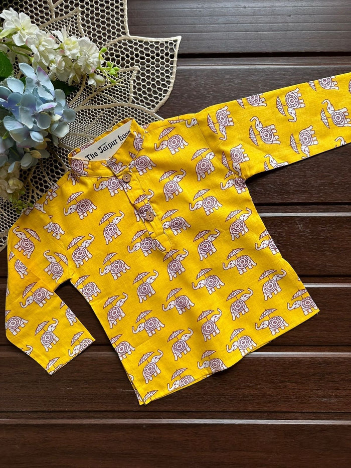 Elephant Parade Kurta Set