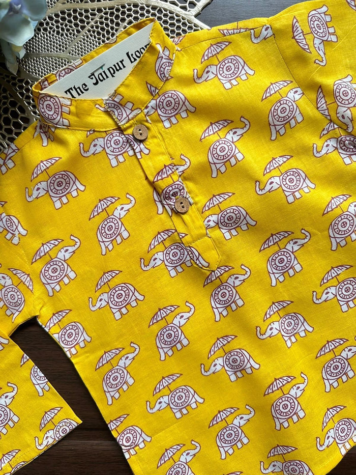 Elephant Parade Kurta Set