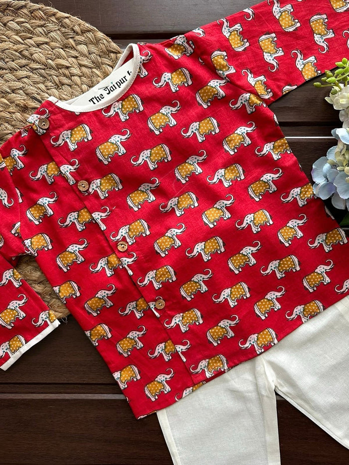 Elephant Parade Off Centre Kurta Set