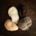 Fairy Wool - Natural Colours