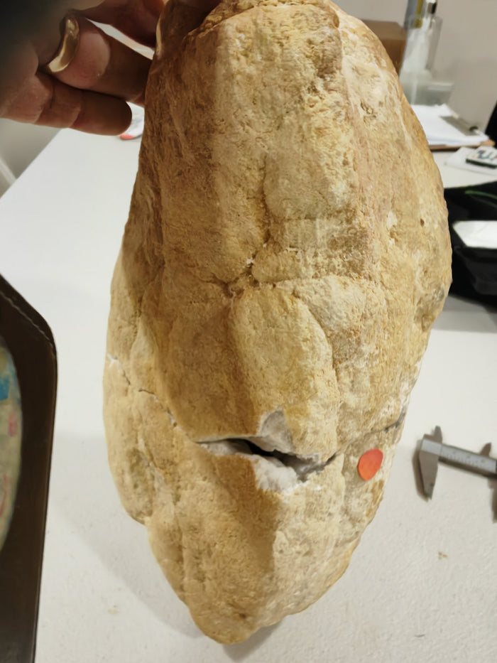 Earthstore® GIANT Split GEODES aka Snowballs - Selenite, Calcite, Quartz inside. 5.4kg