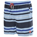 Horizon Stripe Peached Microfibre Swim Short
