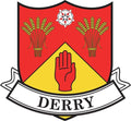 Irish County Car Sticker - Derry