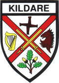 Irish County Car Sticker - Kildare