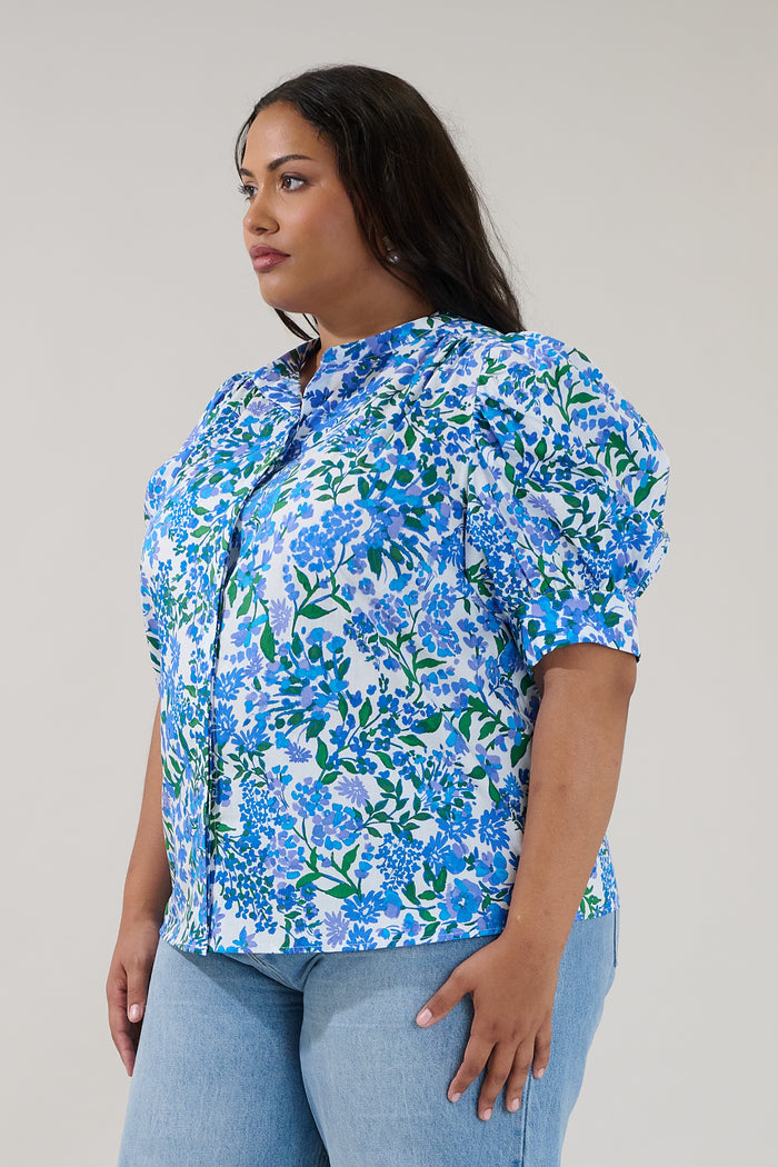 Klina Drape Sleeve Top Floral Curve