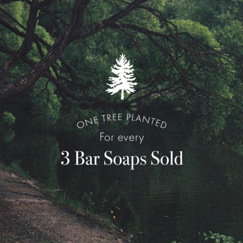 LAFCO - Bar Soap - 7oz - Champagne