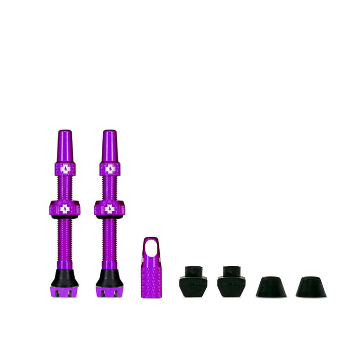 Purple / 44 mm
