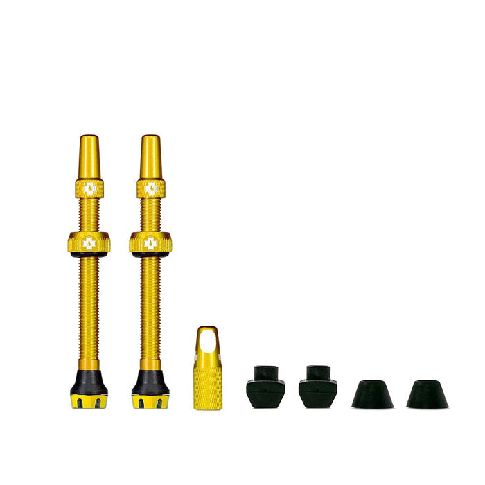 Gold / 60 mm