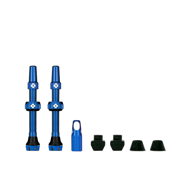 Blue / 44 mm