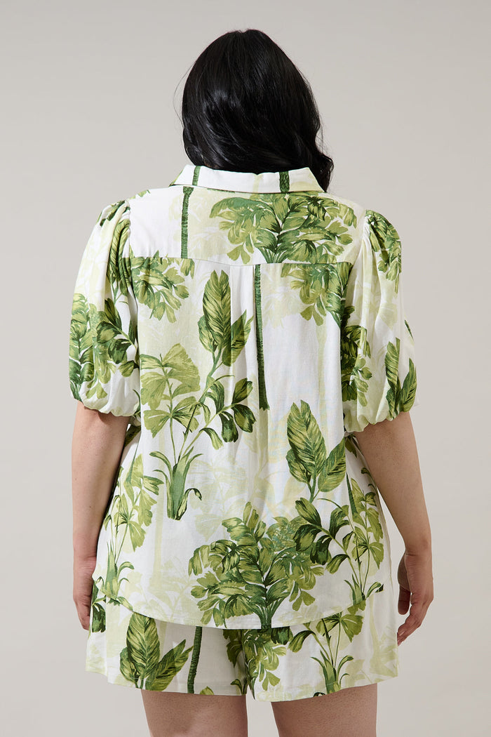 Palmet Tropical Jacine Collared Shirt Curve